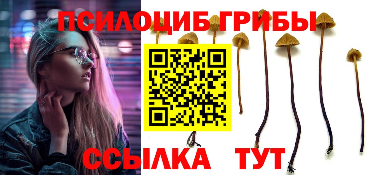 Псилоцибиновые грибы Cubensis Ухта