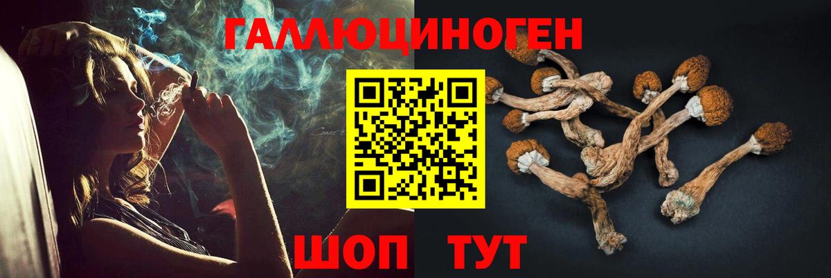 Ухта  Галлюциногенные грибы ЛСД  Вход с VPN 
